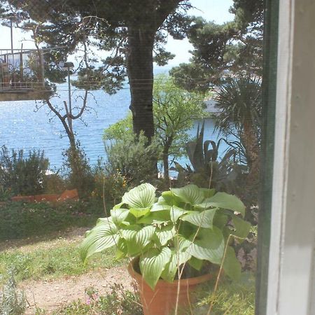 Apartman Tafra 오미스 외부 사진